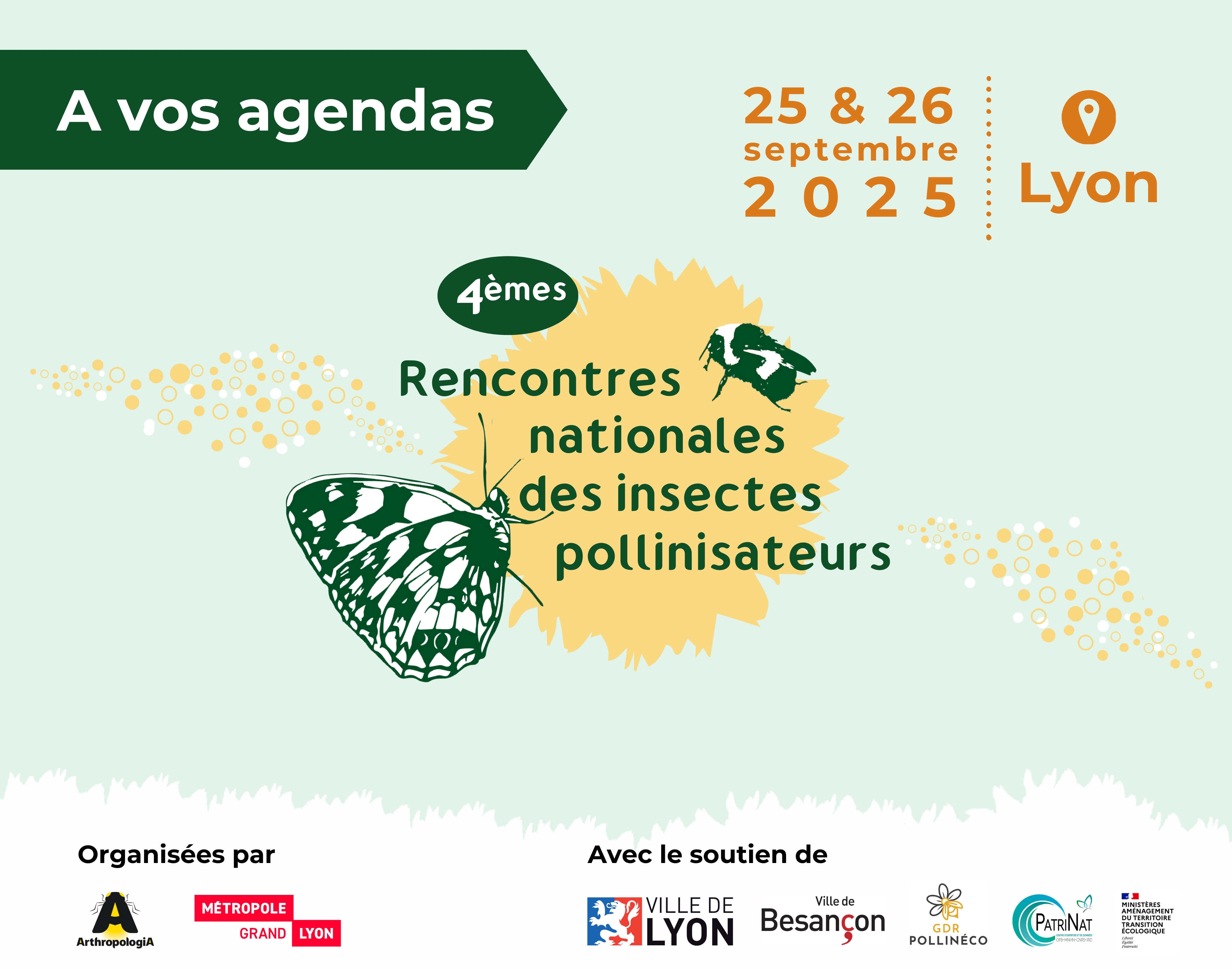 rencontres%20pollinisateurs%20vert